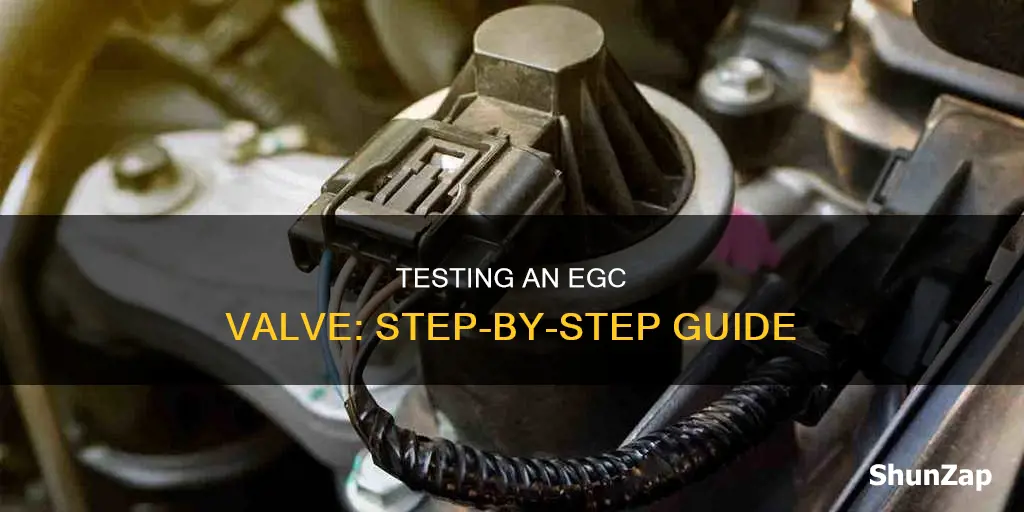 how to test a electric egc valve