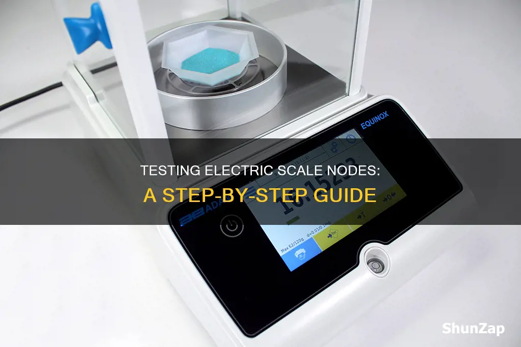 how to test a electric scale node