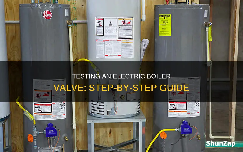 how to test an electric boiler valve