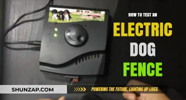 Testing Electric Dog Fences: A Step-by-Step Guide