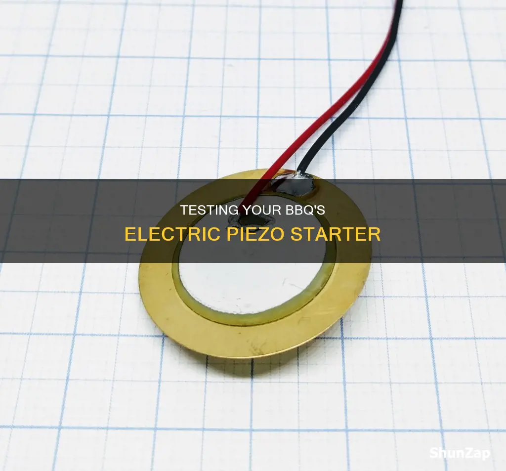 how to test barbeque electric piezo starter
