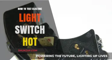 Testing Electric Light Switches: Stay Safe and Smart