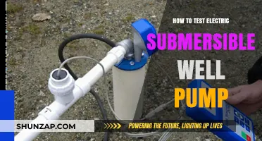 Testing Your Electric Submersible Well Pump: A Step-by-Step Guide