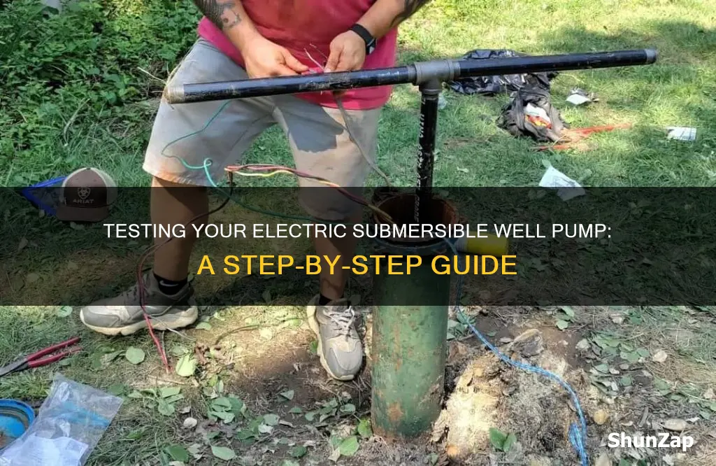 how to test electric submersible well pump