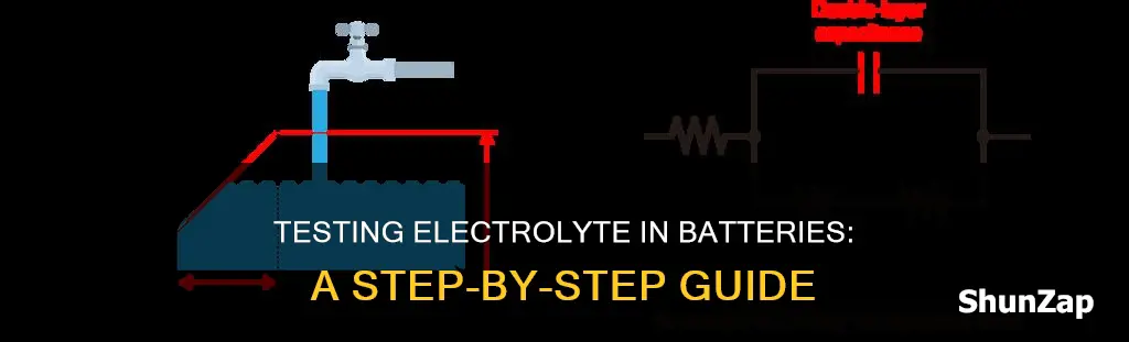 how to test electro yte in battery