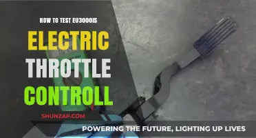 Testing the Electric Throttle Control of Your EU3000is