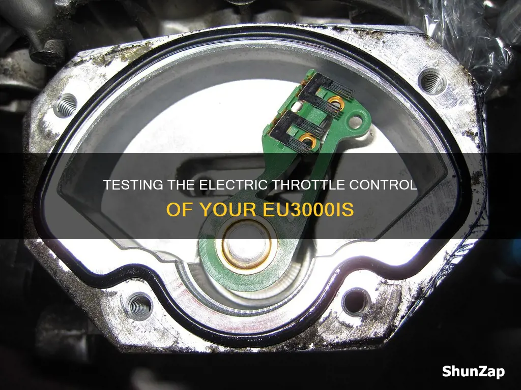 how to test eu3000is electric throttle controll