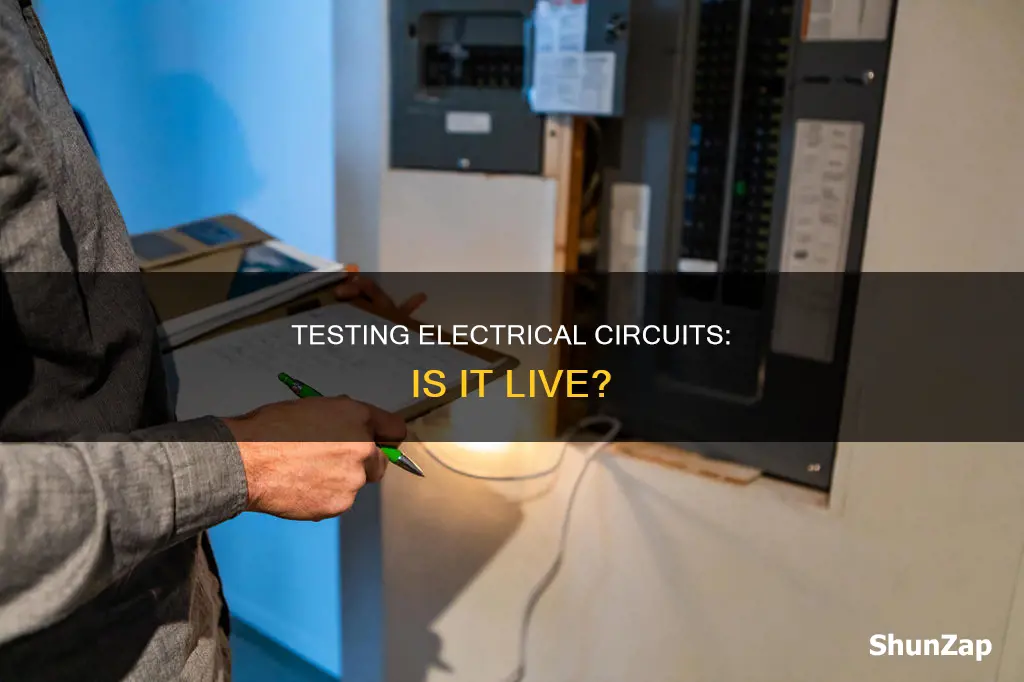 how to test if electric is live