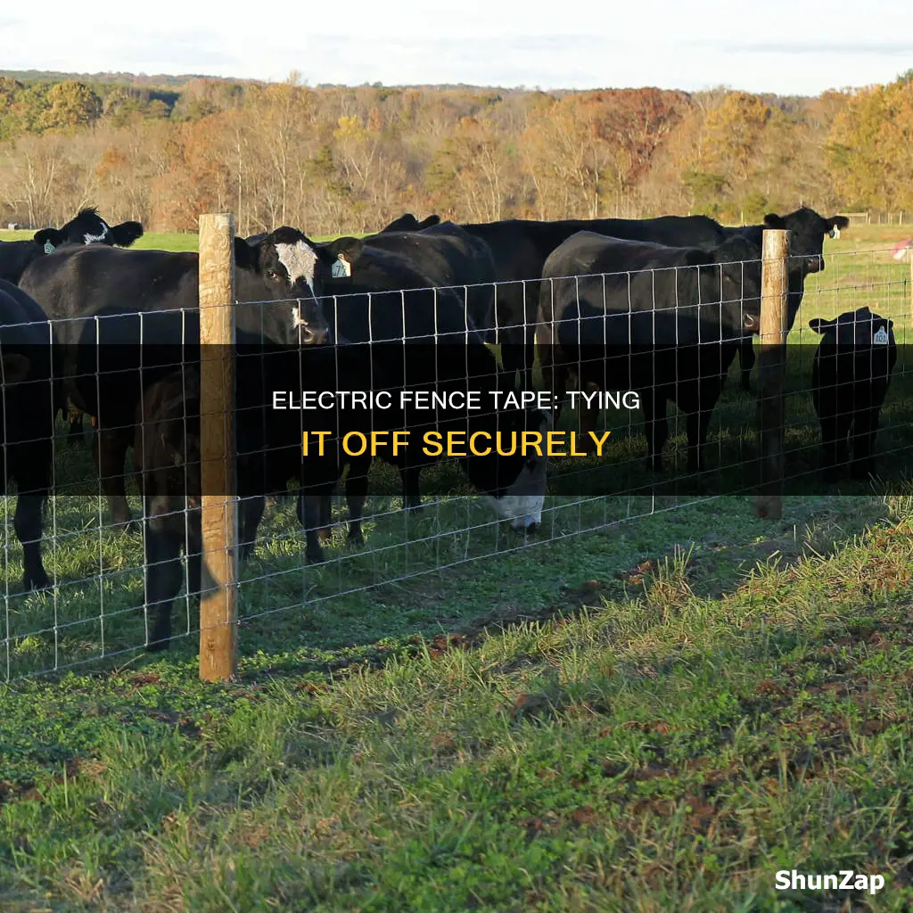 how to tie off electric fence tape