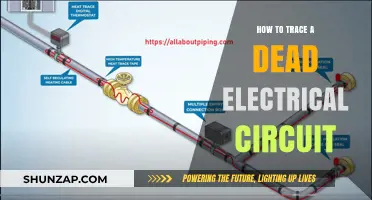 Finding Faults: Tracing a Dead Electrical Circuit
