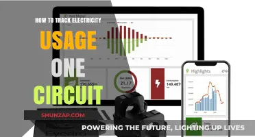 Monitoring Power Usage: Circuit-Level Insights