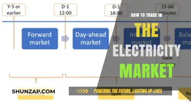 Electricity Trading: Strategies for Success in the Energy Market