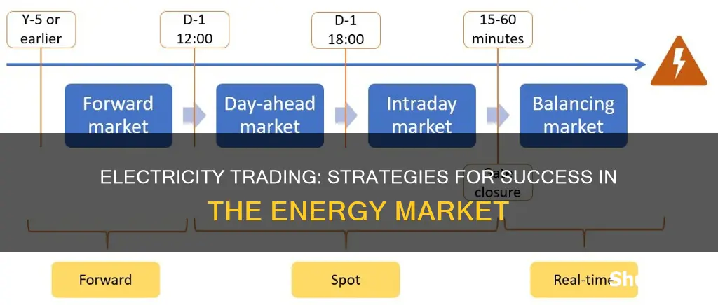 how to trade in the electricity market