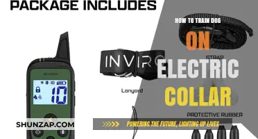 Training Your Dog: Electric Collar Techniques