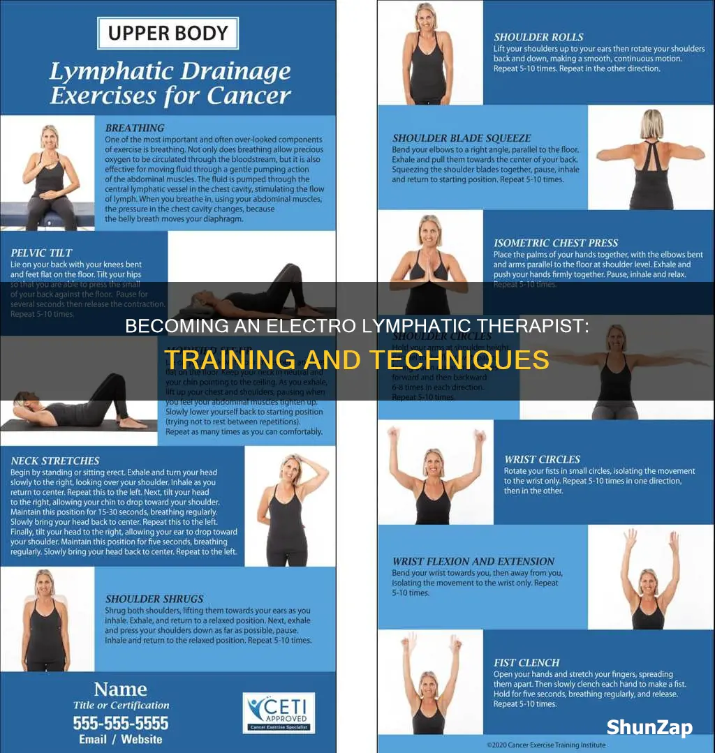 how to train for electro lymphatic therapist