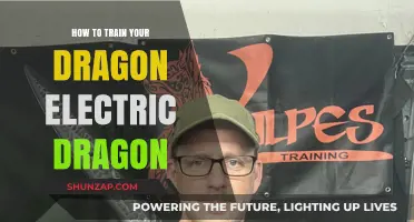 Training Electric Dragons: A Guide to Dragon Whispering