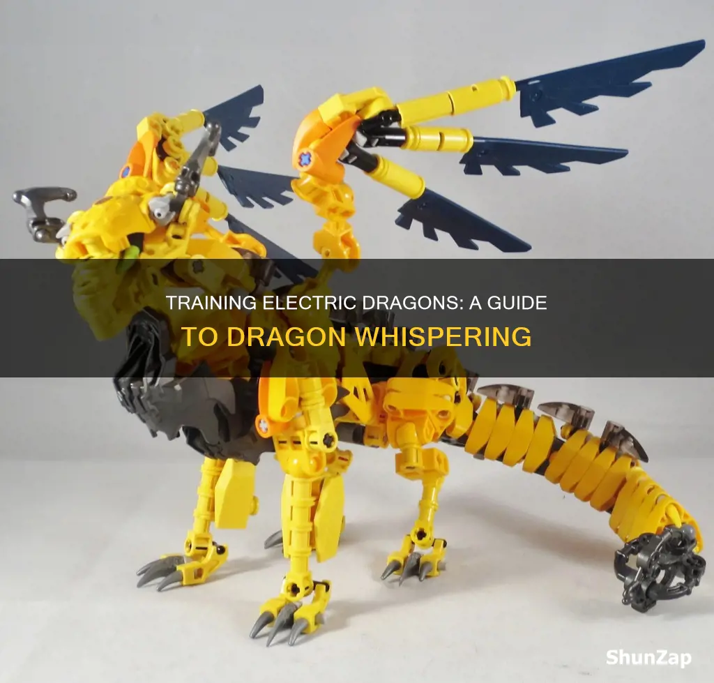 how to train your dragon electric dragon