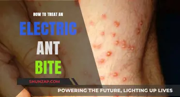 Treating Electric Ant Bites: What You Need to Know