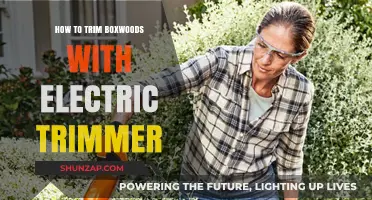 Trimming Boxwoods: Electric Trimmer Techniques for Perfect Hedges