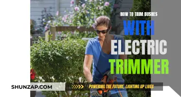Trimming Bushes: Using Electric Trimmers Efficiently