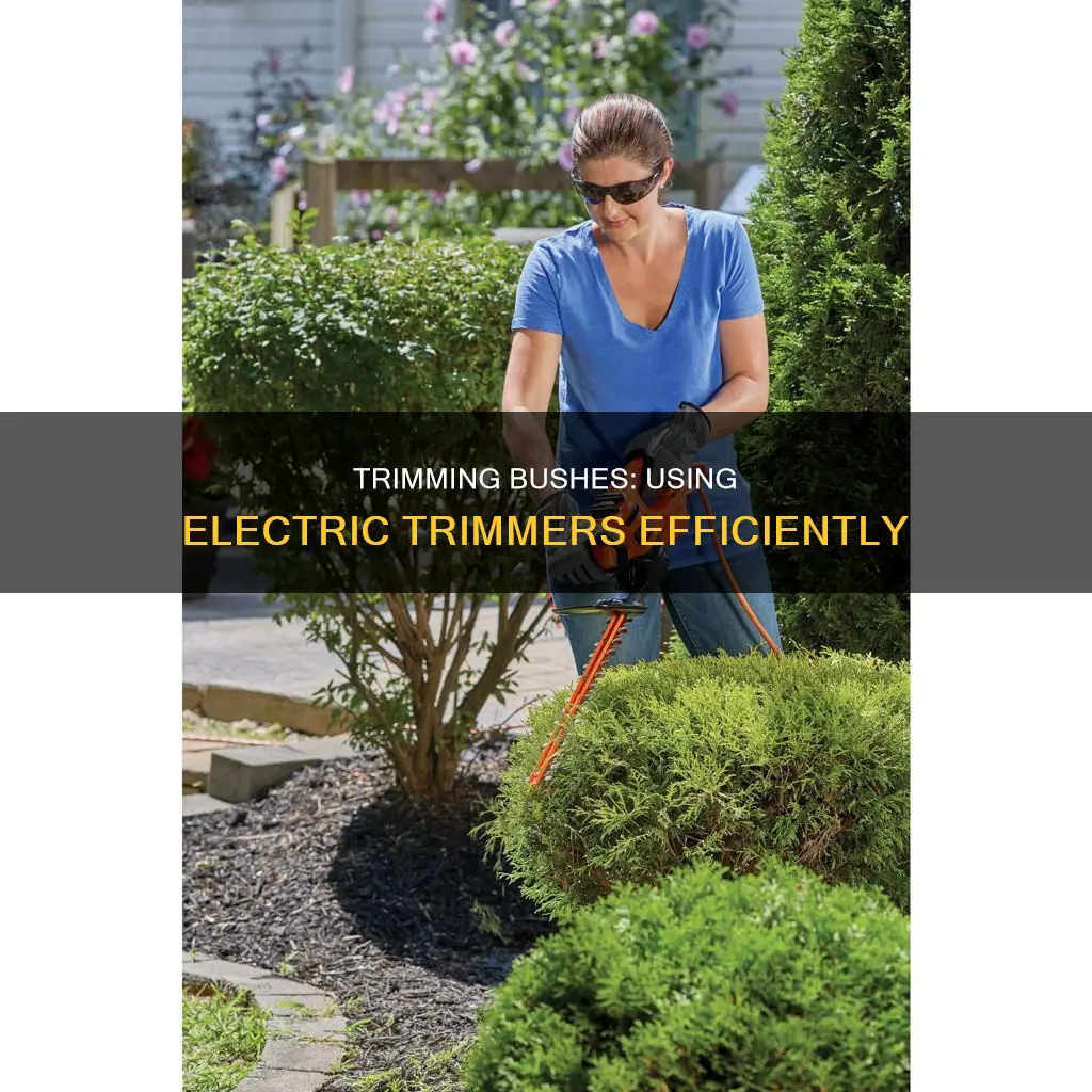 how to trim bushes with electric trimmer