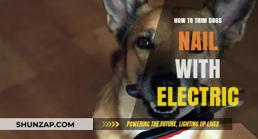 Trimming Dogs' Nails: Electric Clippers for Easy Grooming