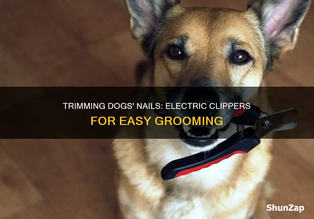 how to trim dogs nail with electric