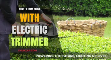 Trimming Hedges: Electric Trimmer Techniques and Tips