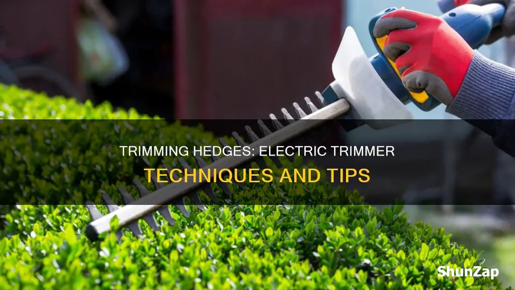 how to trim hedge with electric trimmer