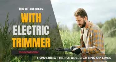Trimming Hedges: Using Electric Trimmers for a Perfect Cut