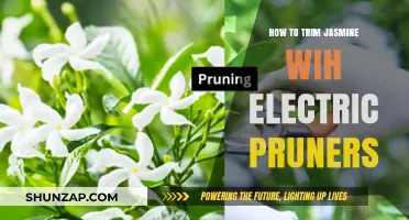 Trimming Jasmine with Electric Pruners: A Step-by-Step Guide