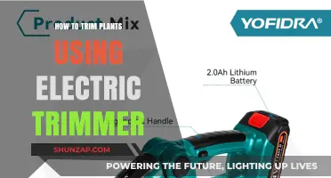 Mastering Electric Trimmer Techniques for Perfectly Pruned Plants