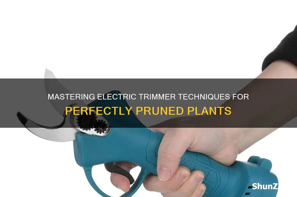 how to trim plants using electric trimmer