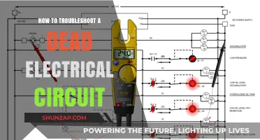 Troubleshooting a Dead Electrical Circuit: Finding the Fault
