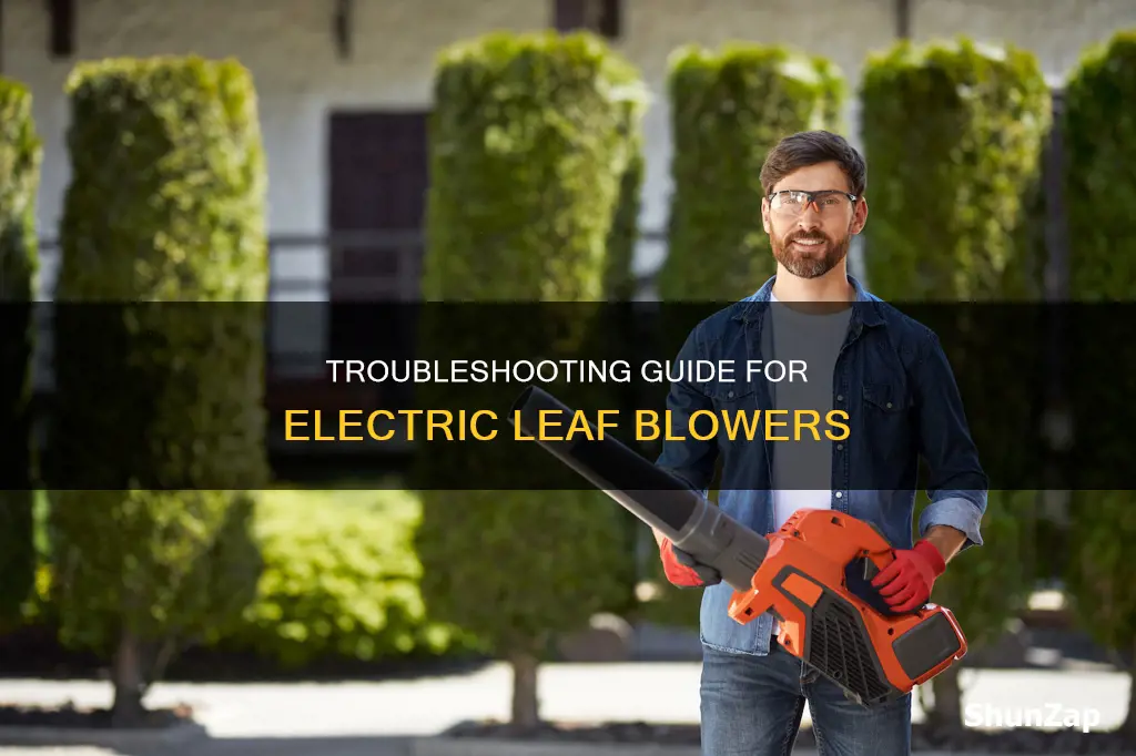 how to troubleshoot an electric leaf blower