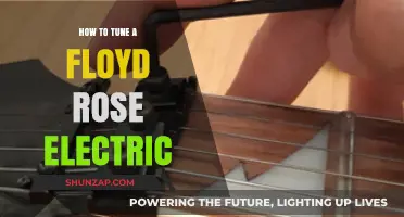 Mastering the Floyd Rose Electric Guitar Setup