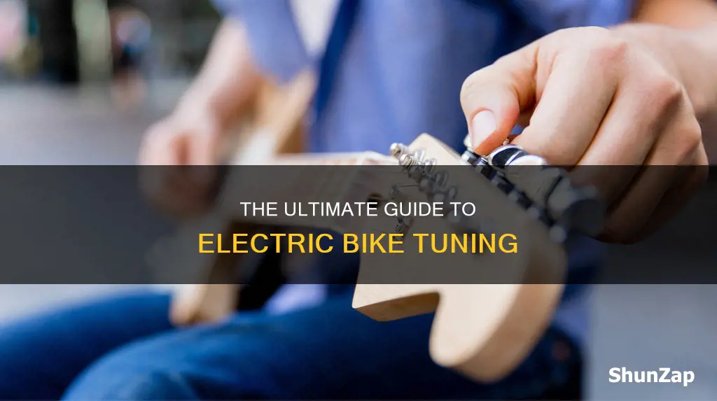 how to tune up an electric buke