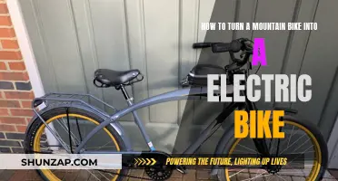 Convert Your Mountain Bike to an Electric Dream