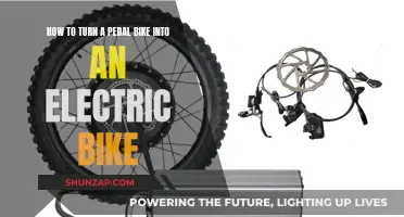 Transform Your Pedal Bike: Electric Revolution