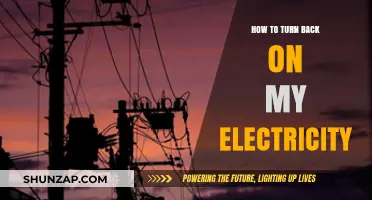 Restarting Your Electricity: A Quick Guide to Get Back Online