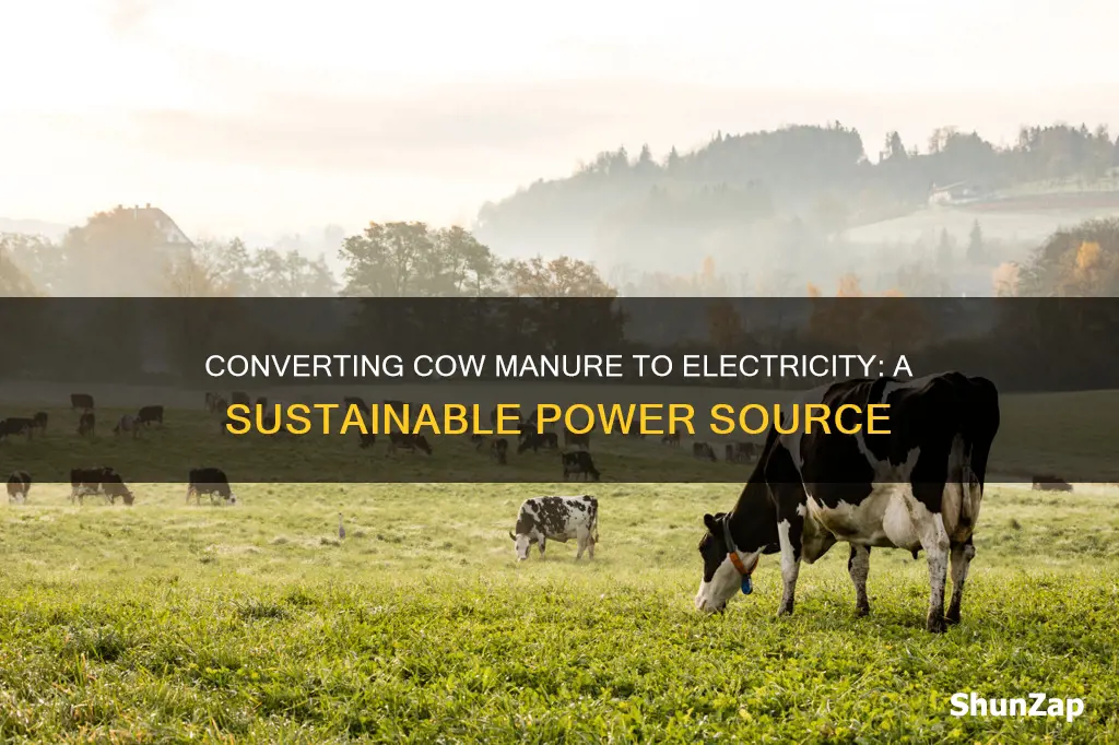 how to turn cow manure into electricity