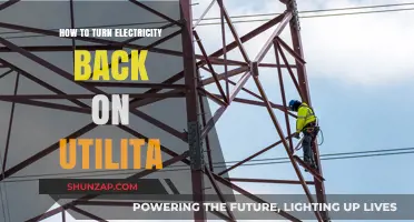 Utilita Power Outage: Restoring Your Electricity Supply