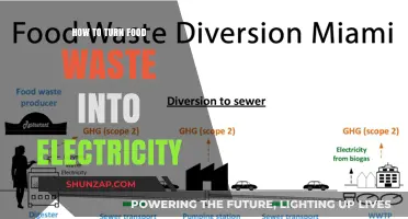 Converting Food Waste: Powering Our Future with Electricity
