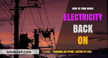 Restoring Power: A Quick Guide to Resetting Your Electricity