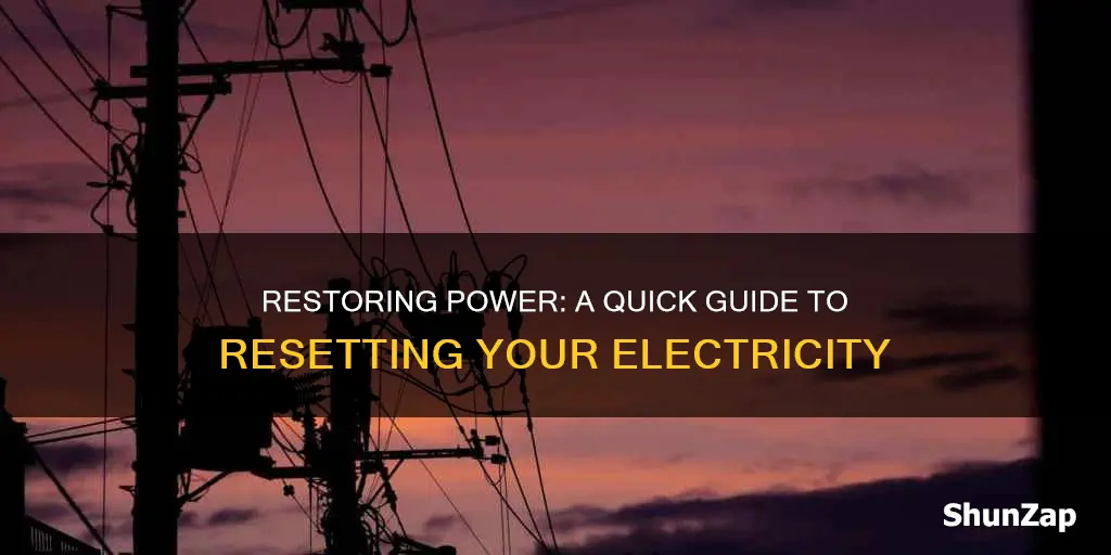 how to turn house electricity back on