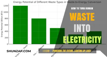 Human Waste: Powering Our World