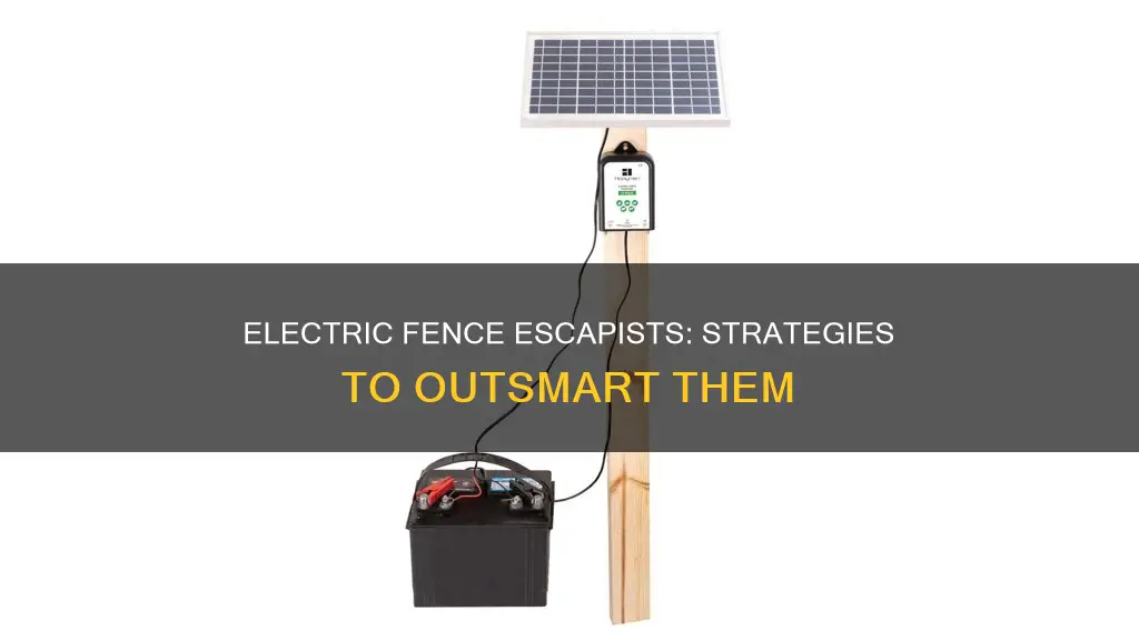 how to turn off electric fence escapists
