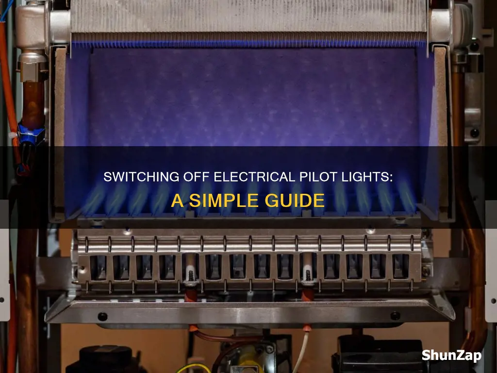 how to turn off electrical pilot light