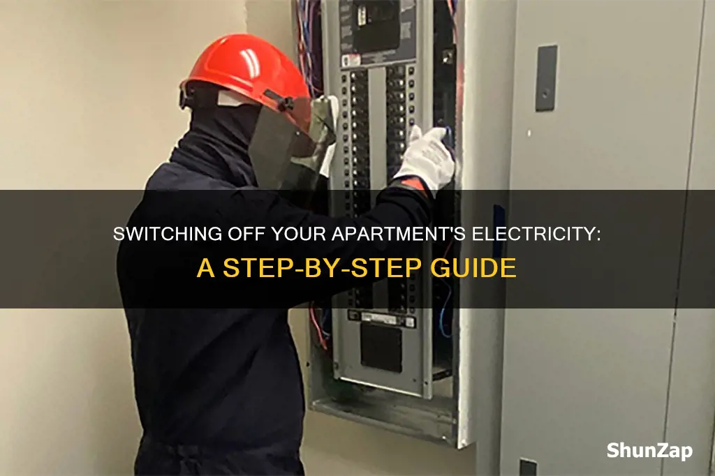 how to turn off electricity in apartment