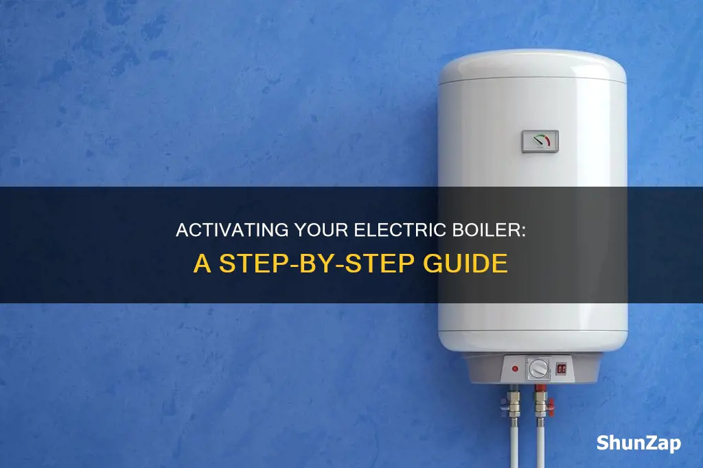 how to turn on a electric boiler